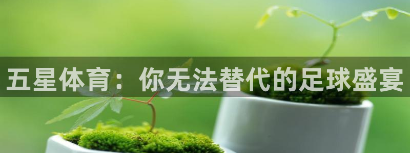 五星体育：你无法替代的足球盛宴