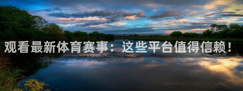 观看最新体育赛事：这些平台值得信赖！