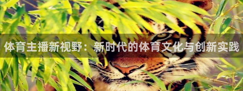 体育主播新视野：新时代的体育文化与创新实践