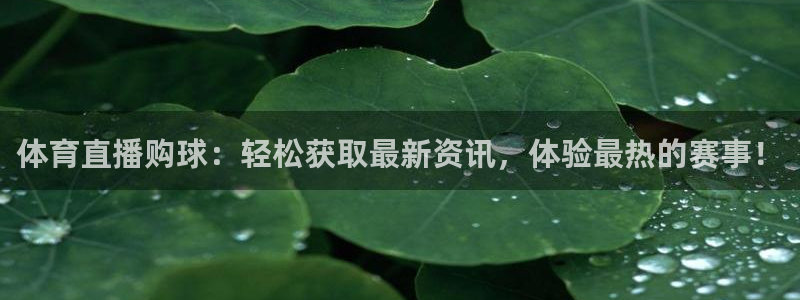 体育直播购球：轻松获取最新资讯，体验最热的赛事！