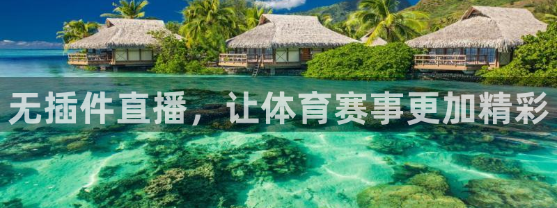 无插件直播，让体育赛事更加精彩